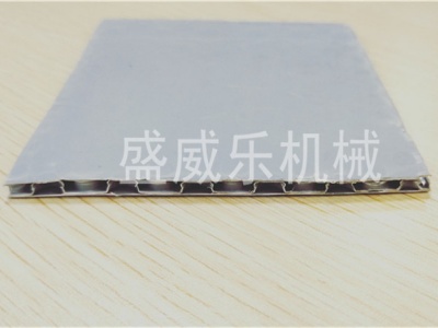 PE蜂窝板生产机组